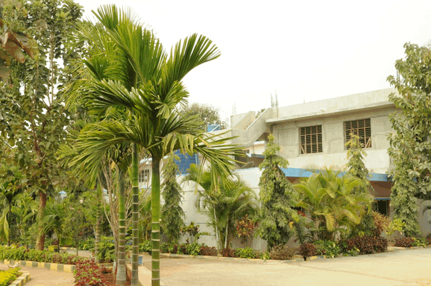 Campus photo